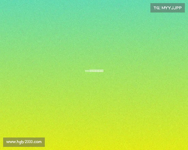 we电子竞技俱乐部队员